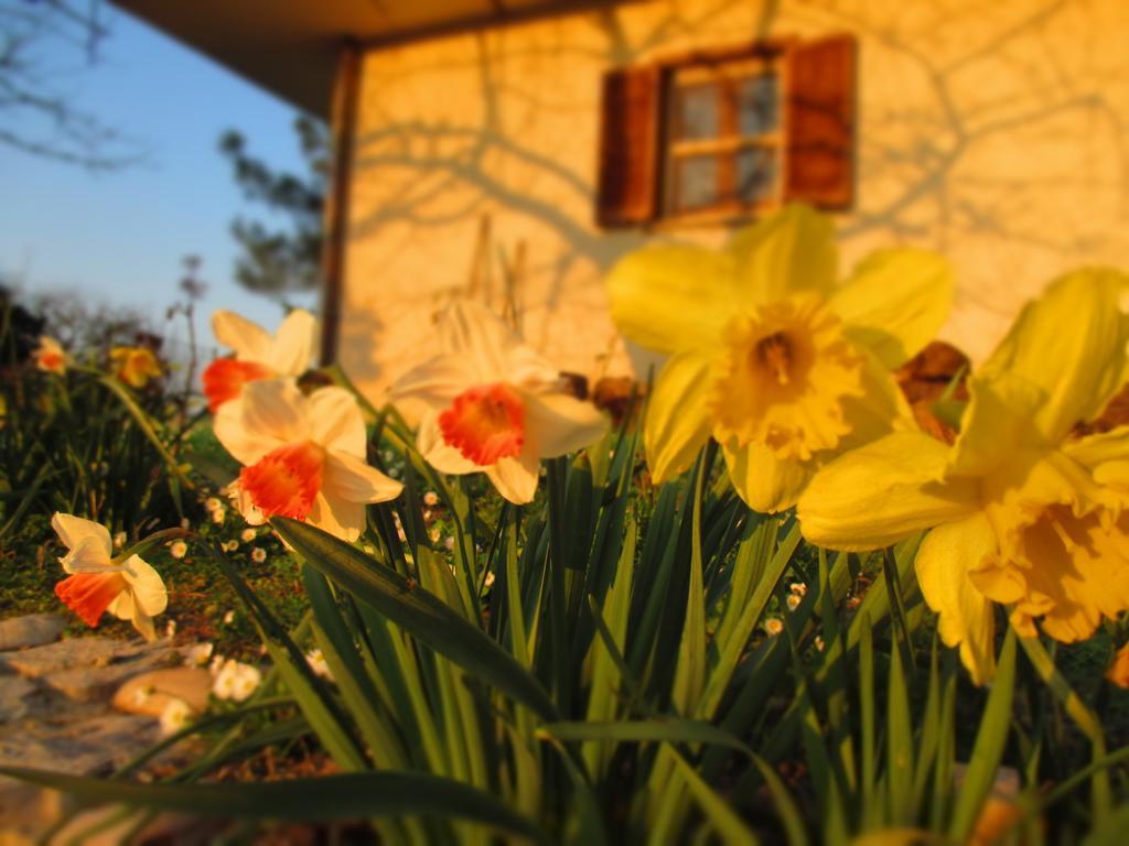 Bed And Breakfast Casale Isorella San Gemini Exteriér fotografie