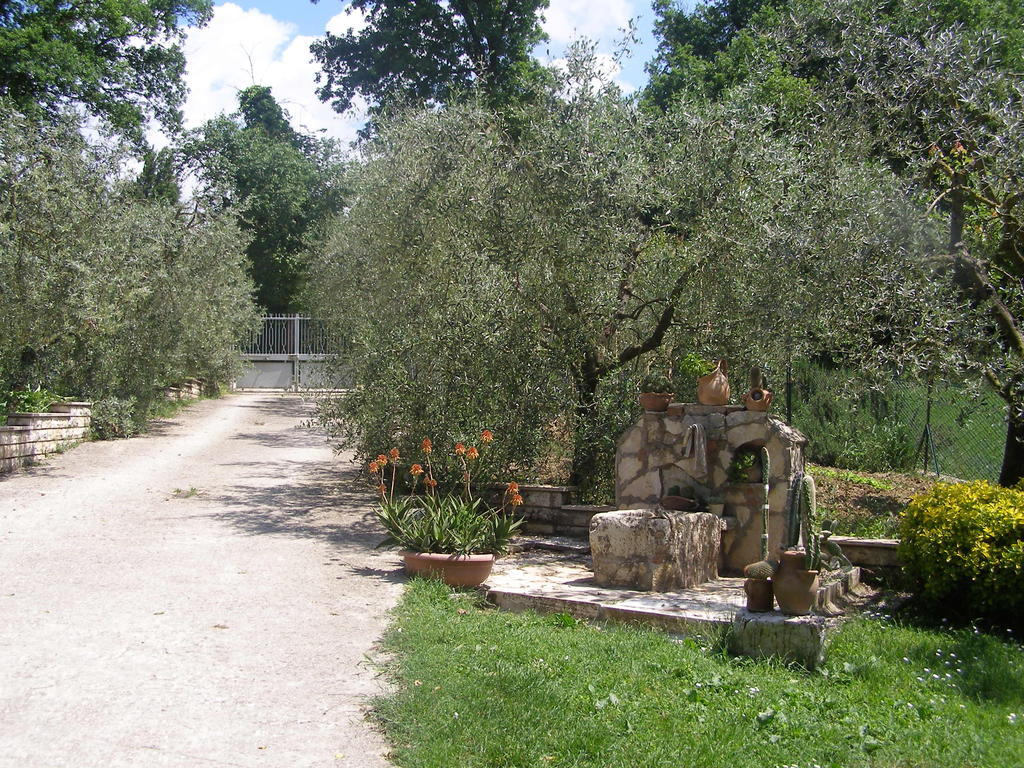 Bed And Breakfast Casale Isorella San Gemini Exteriér fotografie