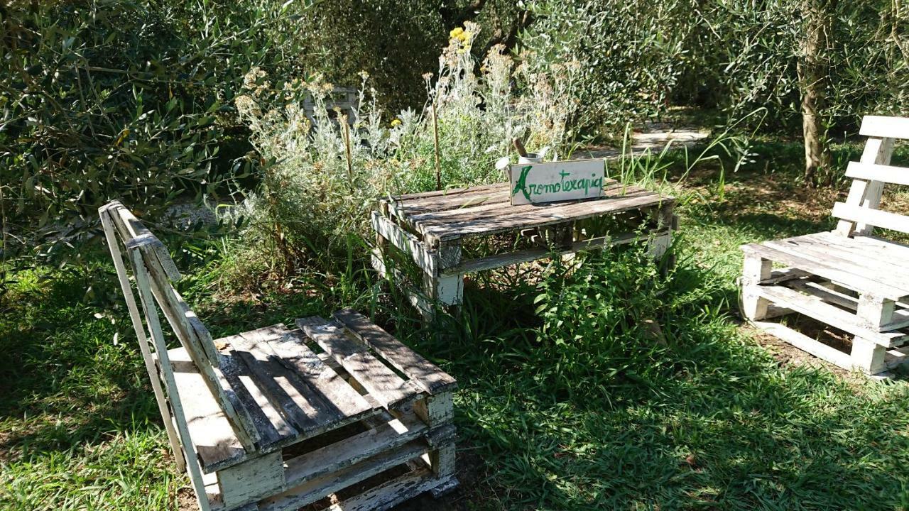 Bed And Breakfast Casale Isorella San Gemini Exteriér fotografie