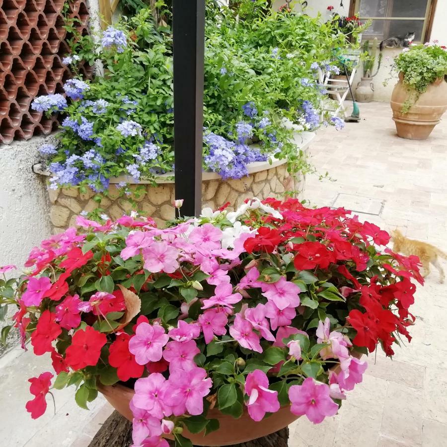 Bed And Breakfast Casale Isorella San Gemini Exteriér fotografie